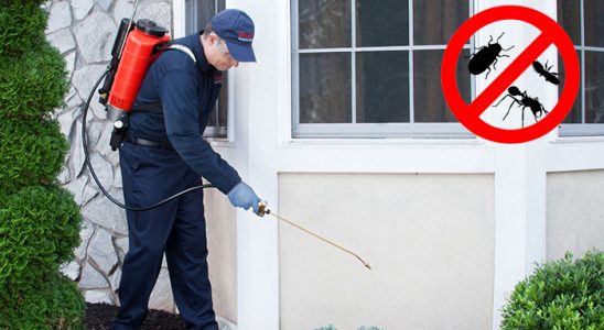 Yunak Gümüşkurt İlaçlama böcek ilaçlama ve haşere kontrolü — ilaclama-tr.com